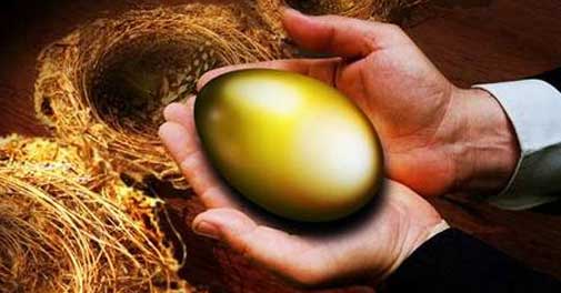 pension-fund_505_090513044737