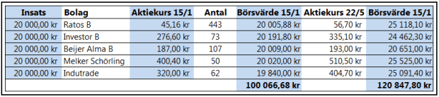 Utveckling portfölj