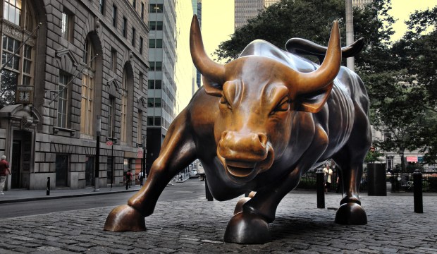WallStreet Bull Sam valadi CC