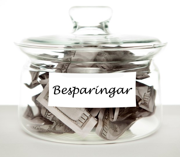 Besparingar