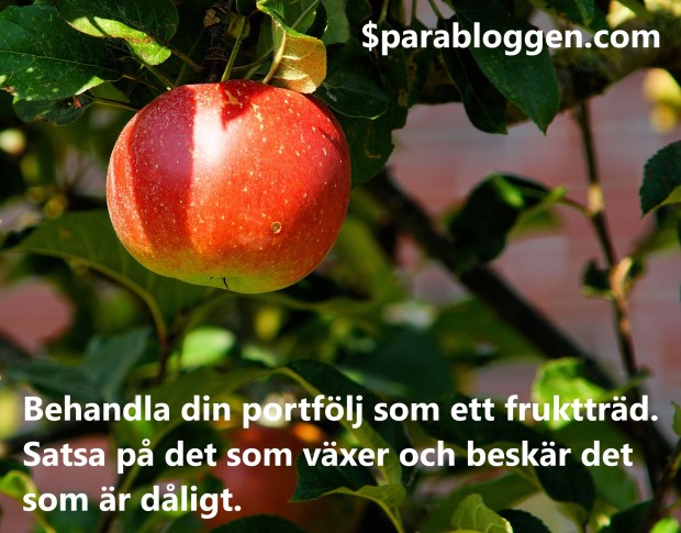 Fruktträd portfölj.jpeg