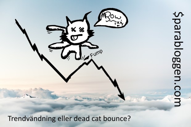 trend-dead-cat