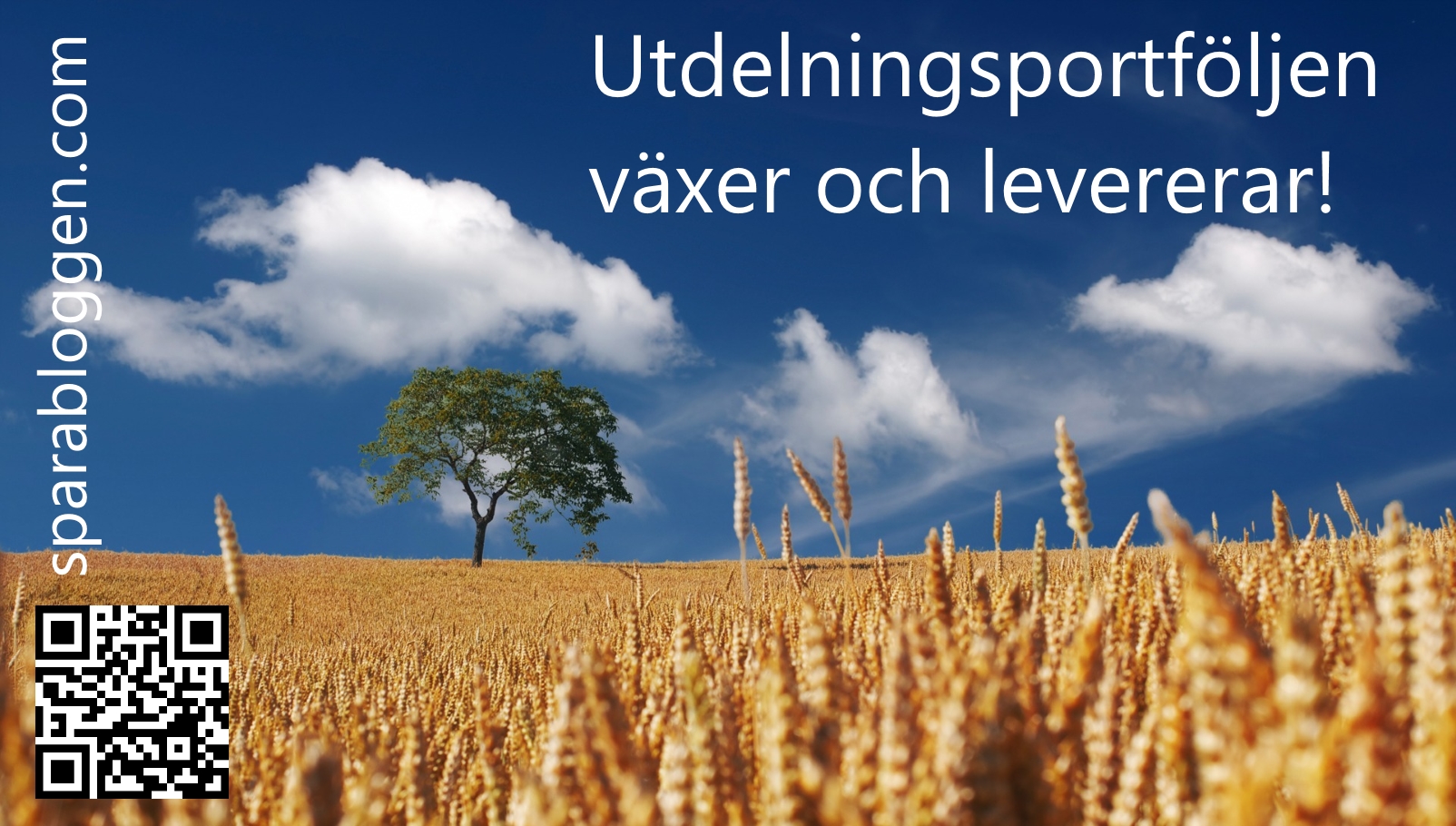 Utdelningsportföljen utveckling.jpg
