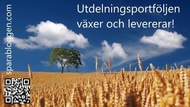 Utdelningsportföljen utveckling.jpg