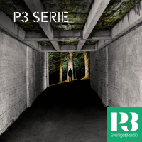 p3 serie