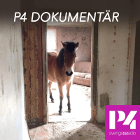 p4 dokumentär