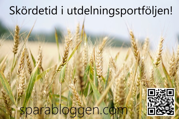 skördetid i utdelningsportföljen