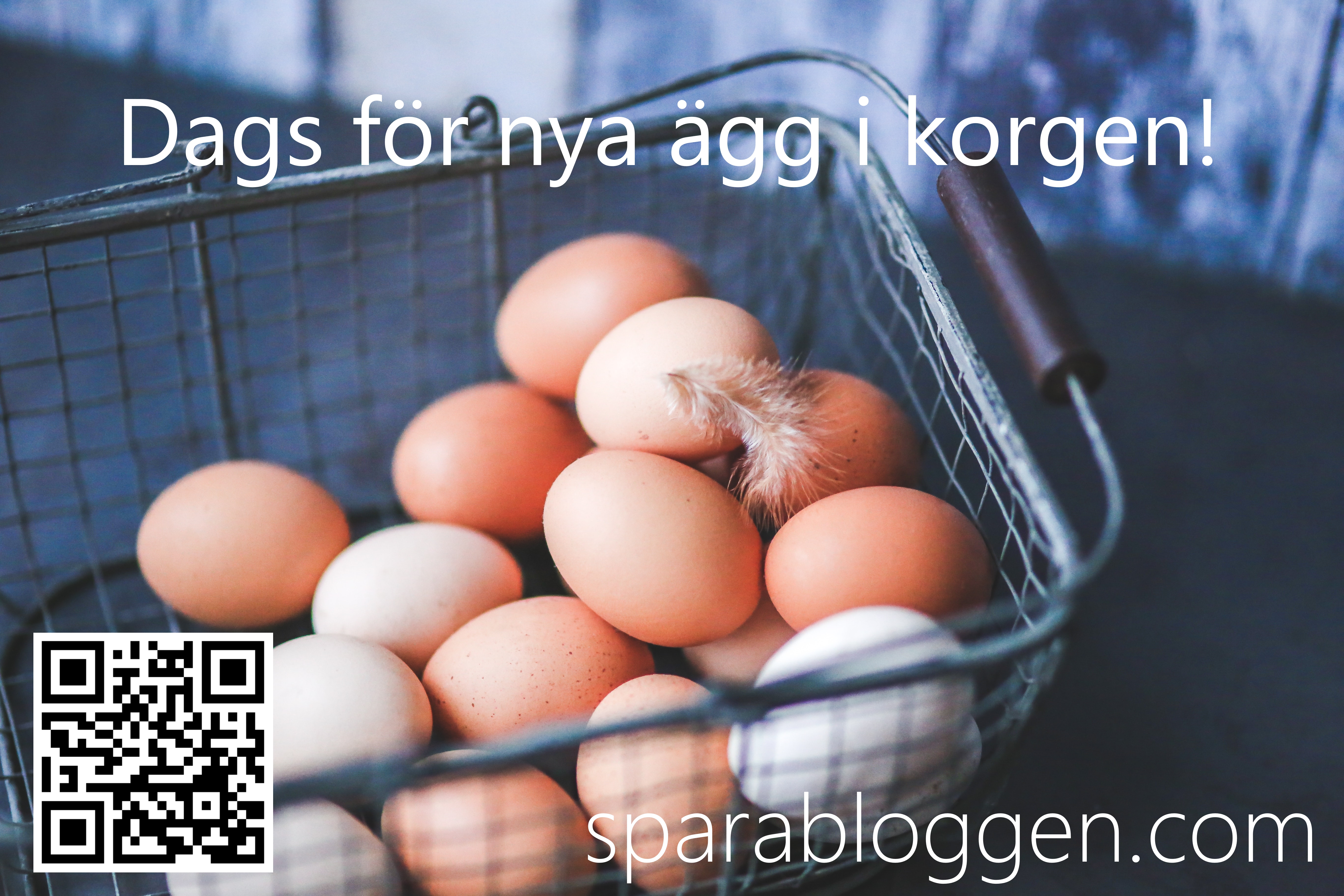 Nya ägg i korgen